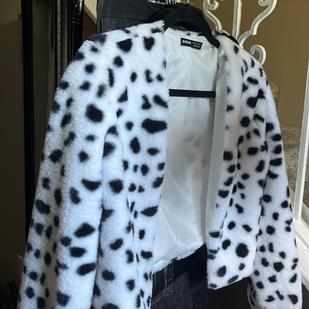 Dalmatian Jacket